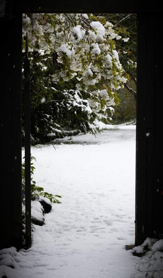 Arden Country House Bnb - Entire House To Yourself -Peace In The Country Ντούνεντιν Εξωτερικό φωτογραφία