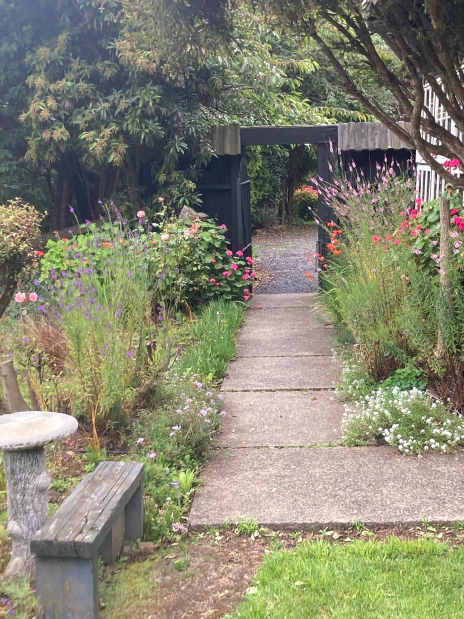 Arden Country House Bnb - Entire House To Yourself -Peace In The Country Ντούνεντιν Εξωτερικό φωτογραφία